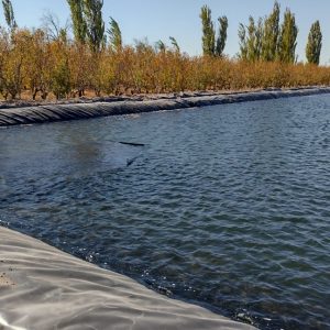 Piletas de Riego – Infraestructura Hídrica para Espacios Verdes