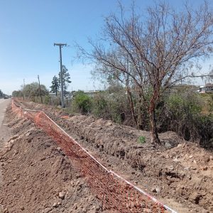 Redes Eléctricas- Área Metropolitana de Mendoza